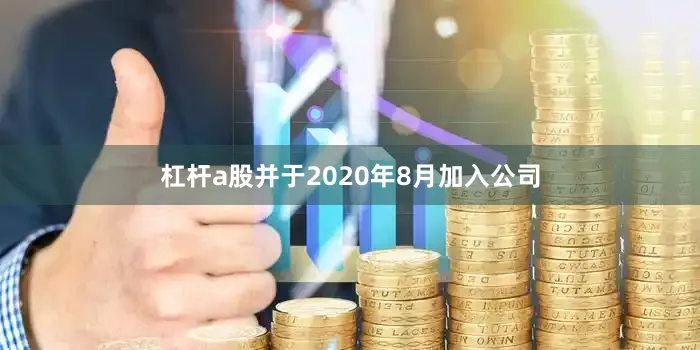 杠杆a股并于2020年8月加入公司