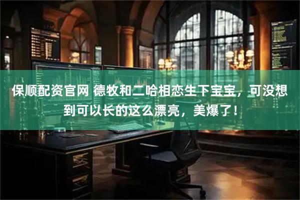 保顺配资官网 德牧和二哈相恋生下宝宝，可没想到可以长的这么漂亮，美爆了！