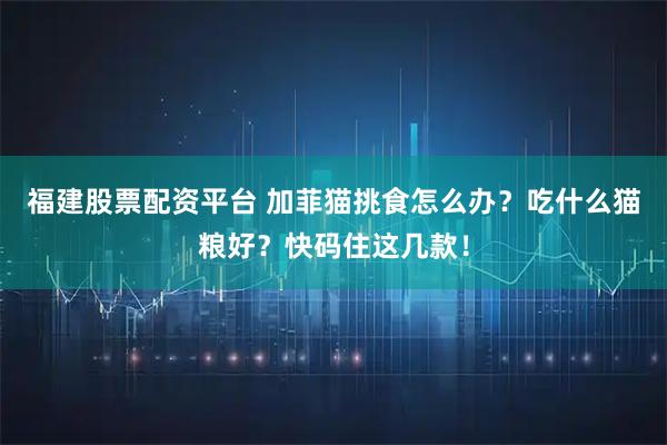 福建股票配资平台 加菲猫挑食怎么办？吃什么猫粮好？快码住这几款！