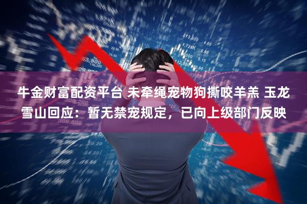 牛金财富配资平台 未牵绳宠物狗撕咬羊羔 玉龙雪山回应：暂无禁宠规定，已向上级部门反映