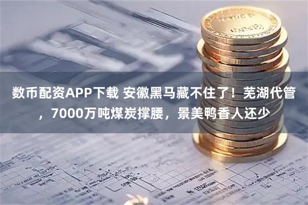 数币配资APP下载 安徽黑马藏不住了！芜湖代管，7000万吨煤炭撑腰，景美鸭香人还少